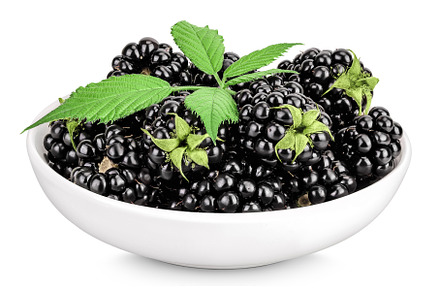 blackberry with leaf in ceramic bowl, a Food & Drink Photo by NataPhoto