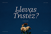 Solance Italic Family, a Serif Font by Sans & Sons (Thumbnail 8 of 10)