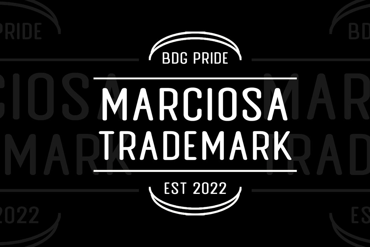 Bravo - Modern Sans Serif, a Sans Serif Font by Luna Shop (Photo 3 of 5)