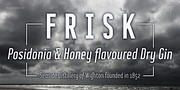 BF Corpa Gothic Pro, a Sans Serif Font by BrassFonts (Thumbnail 5 of 15)