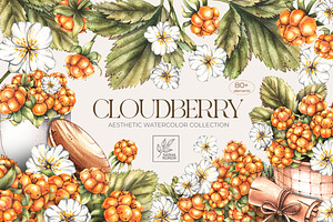 Cloudberry. Watercolor collection