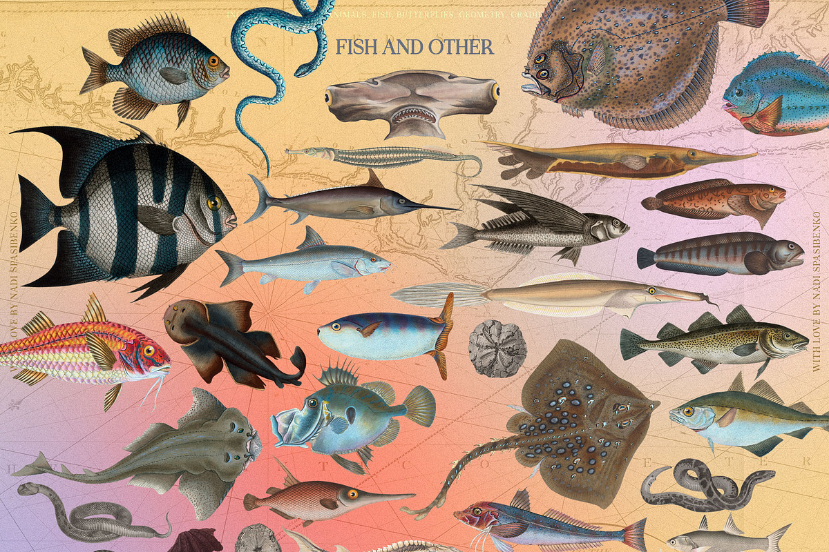 Incredible Collage, an Object Graphic by nadispasibenko (Photo 14 of 15)