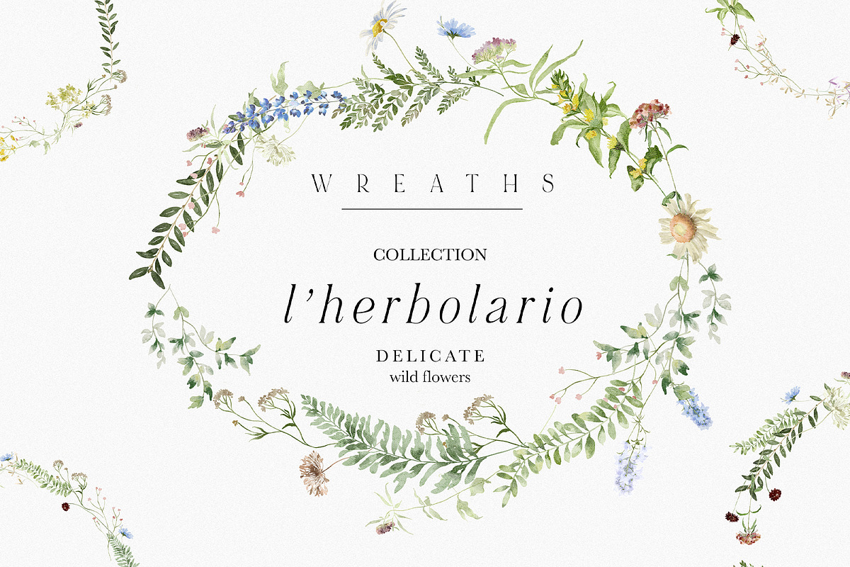 l'Herbolario - Wild Floral Graphics, an Illustration by studioequinox (Photo 9 of 14)