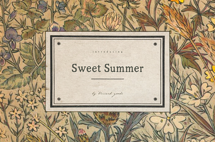 Sweet Summer, a Serif Font by Bruised Goods