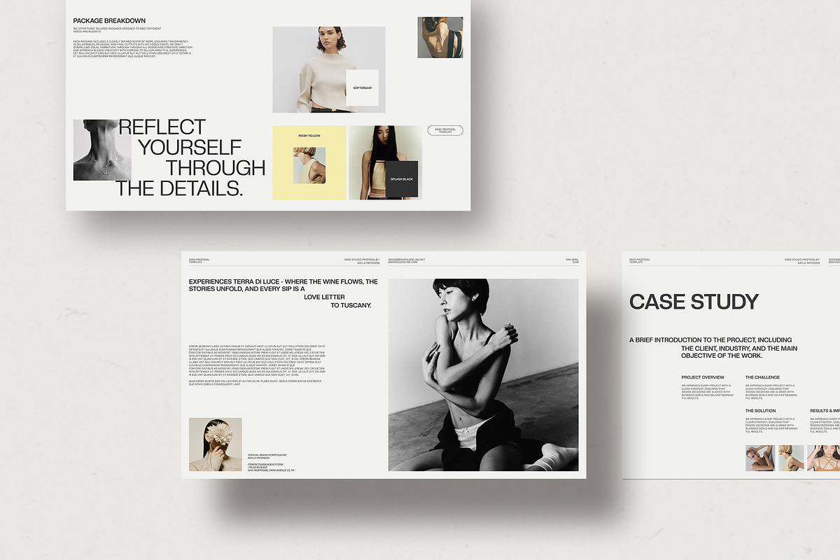 Proposal Presentation Template, a Presentation Template by evgenystudio (Photo 3 of 9)