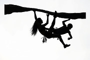 Mountain Climbing Vector Pack, an Illustration by yasushie (Thumbnail 9 of 20)