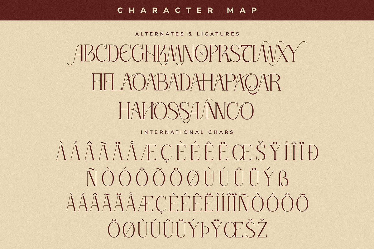 Serandipity Boutique Font Duo, a Serif Font by Storytype Studio (Photo 12 of 15)