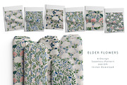 6 Seamless Pattern: Elder Flowers, a Pattern Graphic by StudioCitra (Thumbnail 1 of 10)