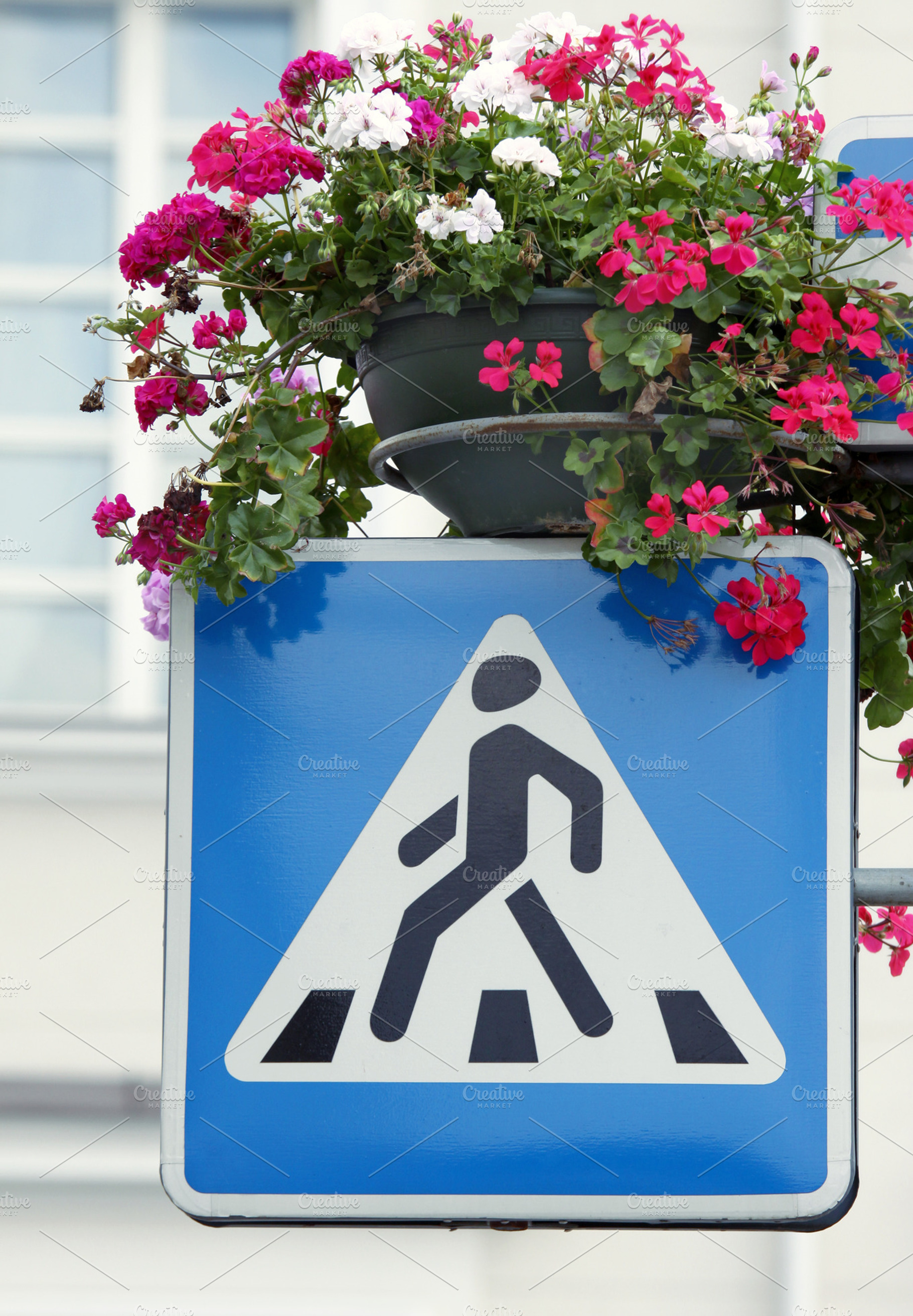 Crossing sign and flowers, a Transportation Photo by BOOCYS