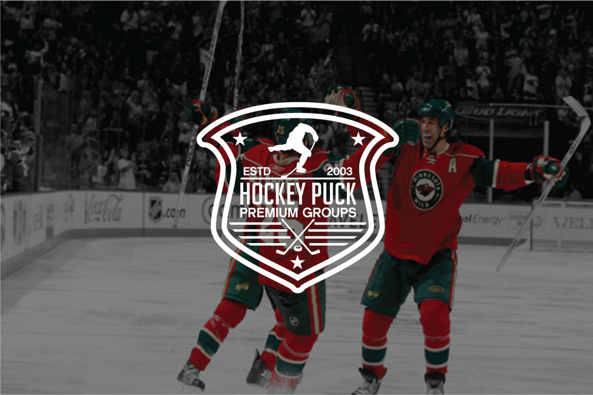 HOCKEY- LABELS & LOGOS VOL1, a Branding & Logo Template by shazi (Photo 11 of 12)