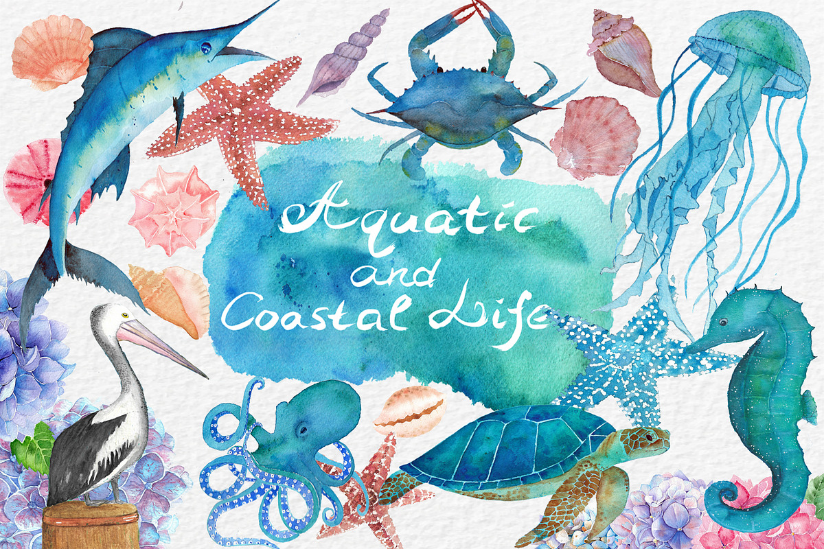 For Sale, a Decorative Illustration by Pretty light (Photo 1 of 7)