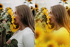 Sunflower Fields Photo Overlays