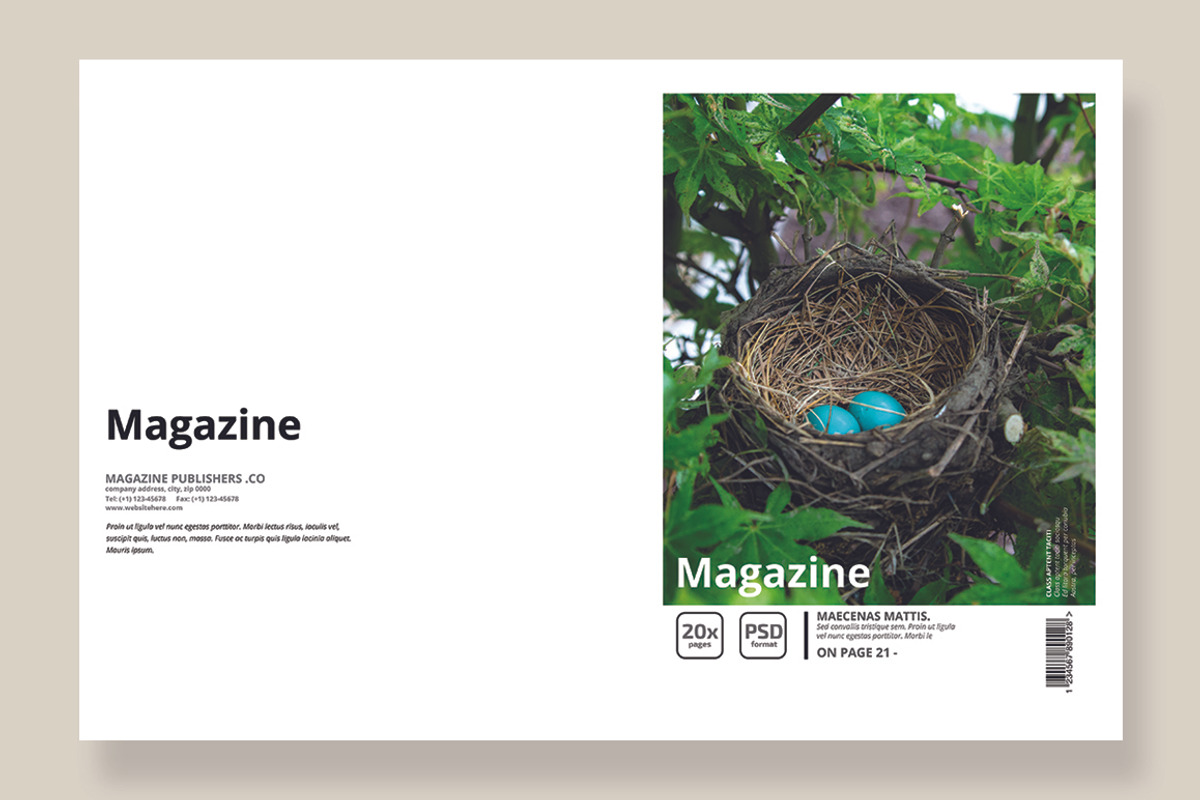 Magazine Template 05, a Magazine Template by pmvch (Photo 3 of 12)