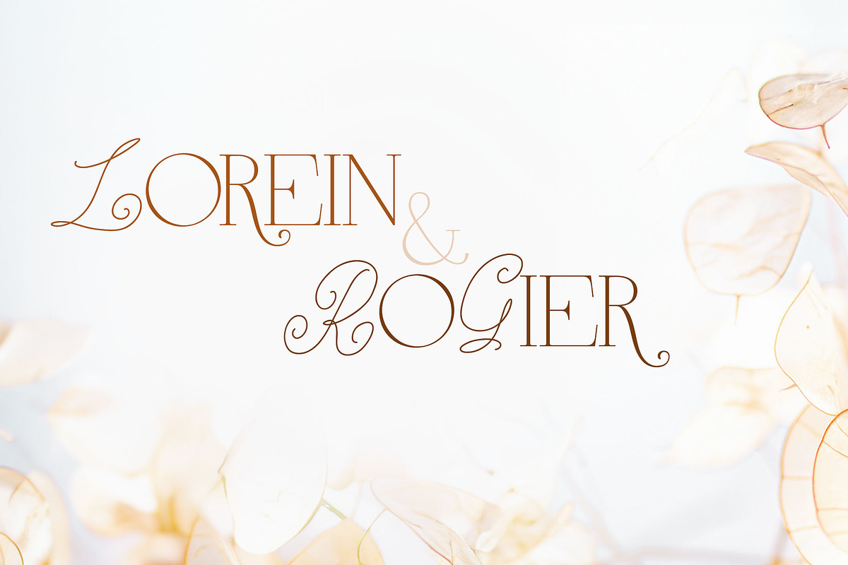 Anna Monro Cyrillic Script Serif, a Script Font by IraDvilyuk (Photo 8 of 11)
