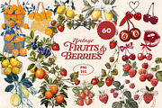 Vintage Fruit & Berry Bundle PNG SVG, a Food Illustration by Marie T (Thumbnail 1 of 17)