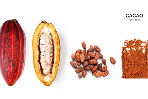 Cacao featuring agriculture, aroma, and background