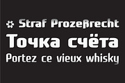Roz Complete, a Sans Serif Font by Gaslight (Thumbnail 3 of 5)