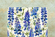 Bluebonnets in Texas Watercolor, an Object Graphic by NeatGrafix (Thumbnail 9 of 10)