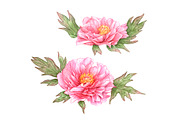 Watercolor Pink Flowers, an Illustration by Katya Zlobina (Thumbnail 6 of 9)
