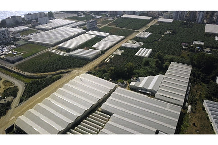 Top view of agricultural greenhouses, an Industrial Photo by Media Whale Stock