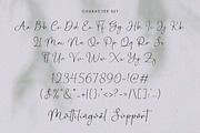 Bontana - Elegant Calligraphy Font, a Script Font by Flawless And Co (Thumbnail 9 of 10)