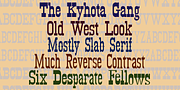 Kyhota, a Slab Serif Font by Ingrimayne Type (Thumbnail 1 of 7)
