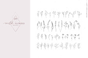 Wild flowers illustration clipart, an Illustration by Angele Kamp (Thumbnail 15 of 15)