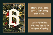 CS Artemio Drawn, a Blackletter Font by Craft Supply Co. (Thumbnail 2 of 8)