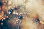 La Boheme Script, a Script Font by Beck McCormick (Thumbnail 8 of 10)