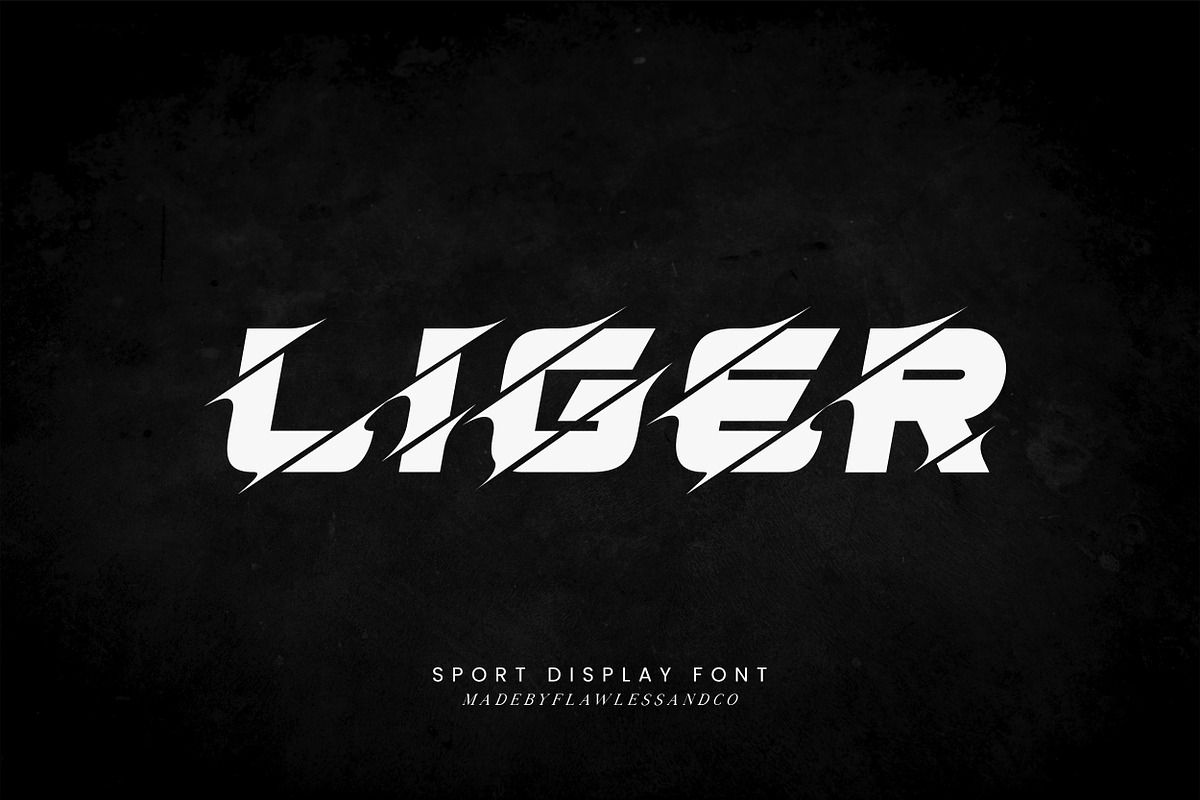 Liger - Sport Display Font, a Handwritten Font by Flawless And Co (Photo 1 of 9)