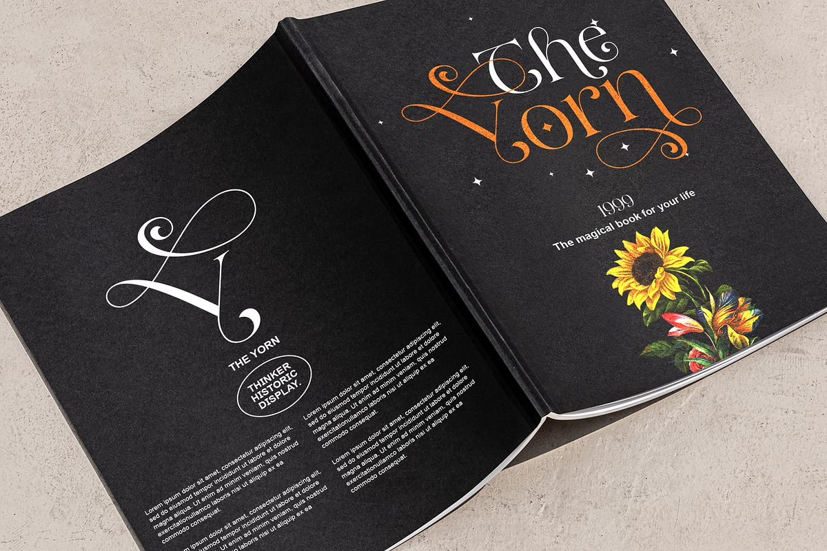 Thinker Historic, a Serif Font by INKSUN™ (Photo 6 of 8)
