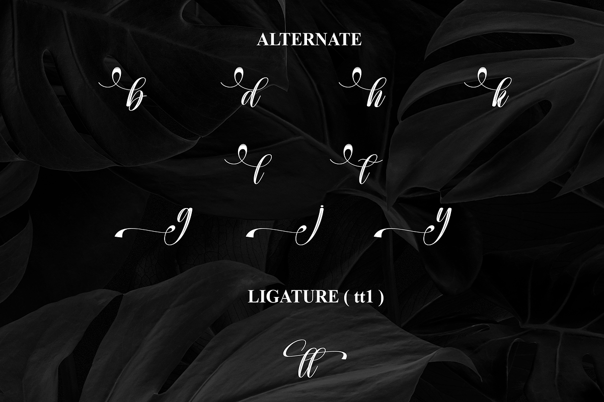 Handwritting | Script Font, a Handwritten Font by Scratchones (Photo 8 of 9)