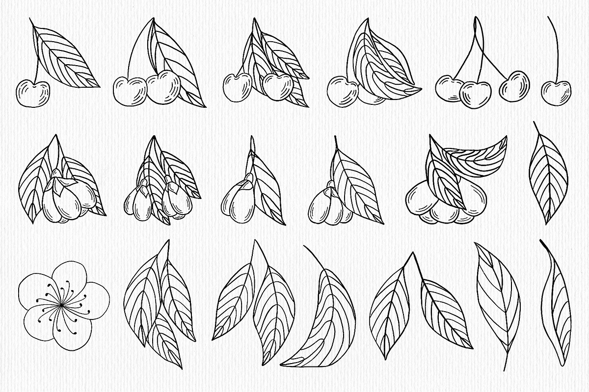 Cherry Blossom Line Art, a Seasonal Illustration by Iryna Mel (Photo 3 of 10)