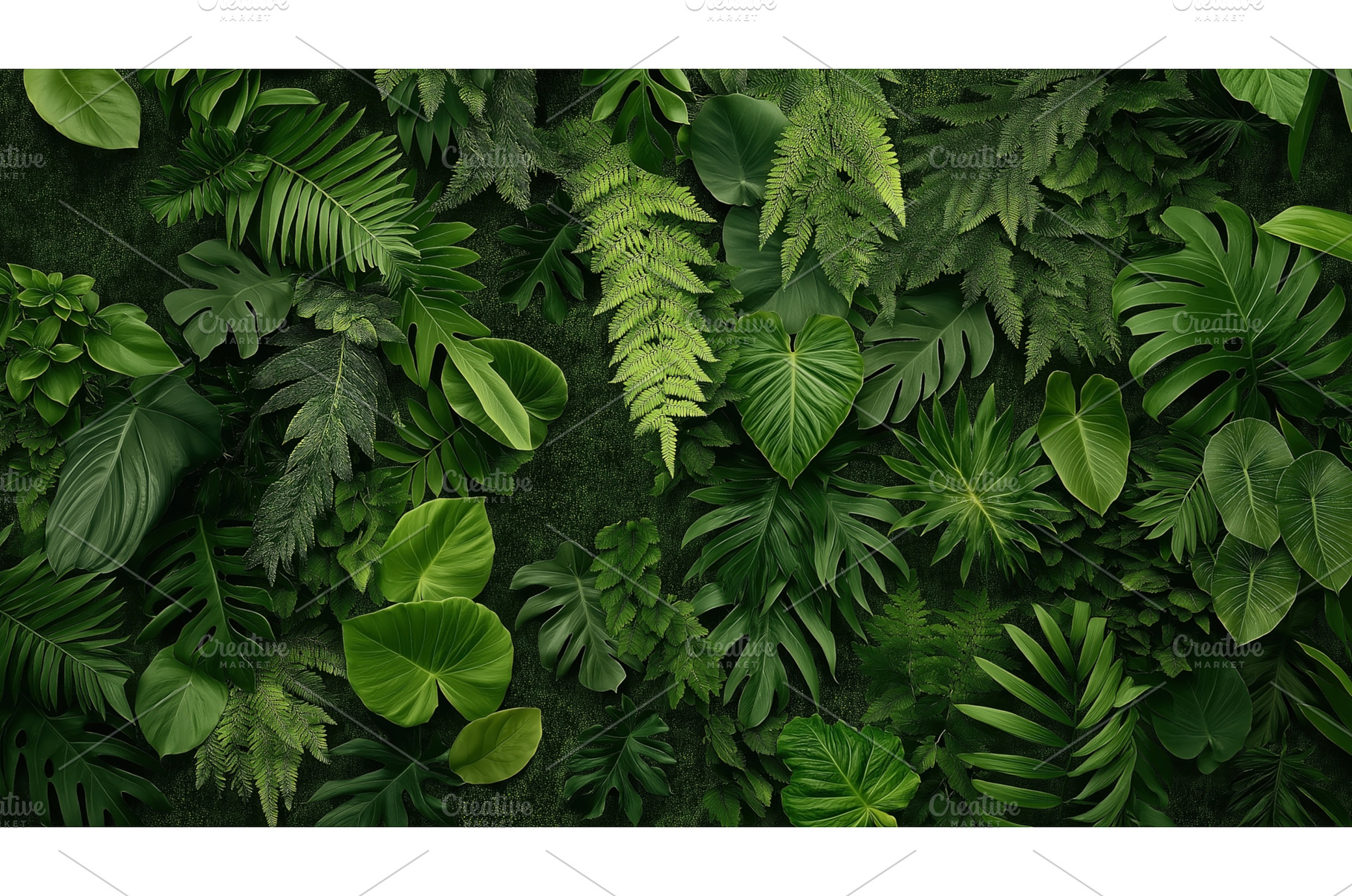 Lush green tropical plant leaves, a Background Photo by Sergey Kotenev