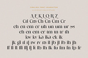Cralika/Modern Ligature Serif, a Serif Font by ToniStudio (Thumbnail 8 of 11)
