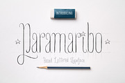 Paramaribo Font Family, a Script Font by Fontop (Thumbnail 1 of 11)