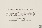 Tumbleweed Hand Drawn Western Font, a Handwritten Font by Madeline ODonoghue Design (Thumbnail 2 of 6)