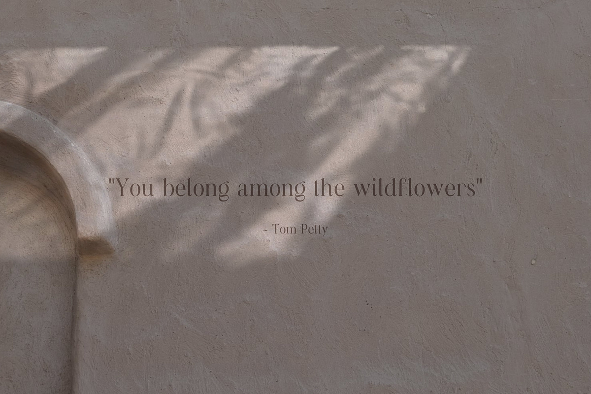 Natural Shadow Zen Overlays, a Texture Graphic by Feather & Sage Design (Photo 2 of 14)