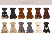 Australian Kelpie clipart, an Illustration by pet design shop (Thumbnail 4 of 6)