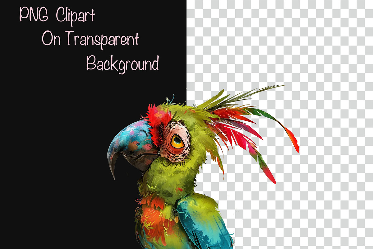 Quirky Funny Parrots Clipart, an Animal Illustration by Fusion Dream (Photo 2 of 7)