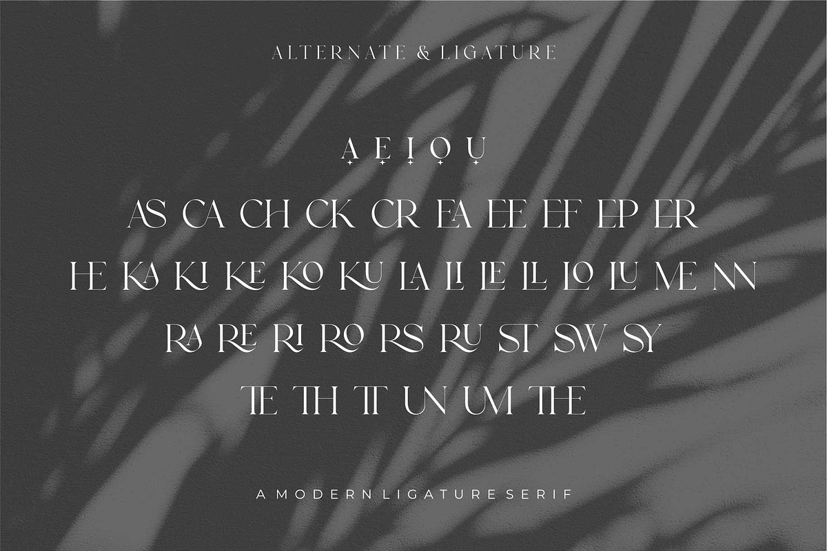 Kaira Modern Serif Font, a Serif Font by Dylla_studio (Photo 10 of 11)