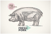 Pigs in graphical style, an Animal Illustration by Countryside life (Thumbnail 3 of 11)