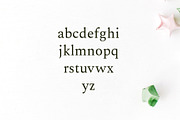 Ethan Serif 8 Font Family Pack, a Serif Font by Creativetacos (Thumbnail 2 of 4)