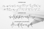 Pattersonville Script Font, a Script Font by Creativeqube Design (Thumbnail 19 of 26)