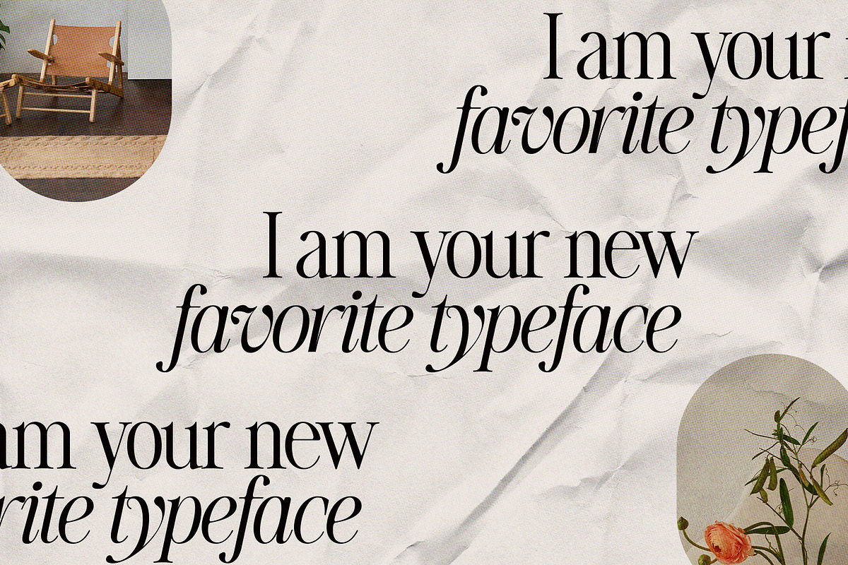 The Silver Editorial Serif Font, a Serif Font by SilverStag Type Foundry (Photo 14 of 25)