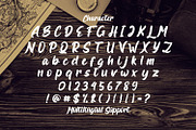 Roulette - Bold Script Font, a Script Font by StringLabs (Thumbnail 10 of 11)