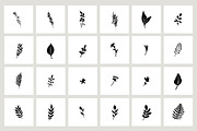 Stem & Twig Vector Silhouettes, a Decorative Illustration by Britt Fabello (Thumbnail 2 of 3)