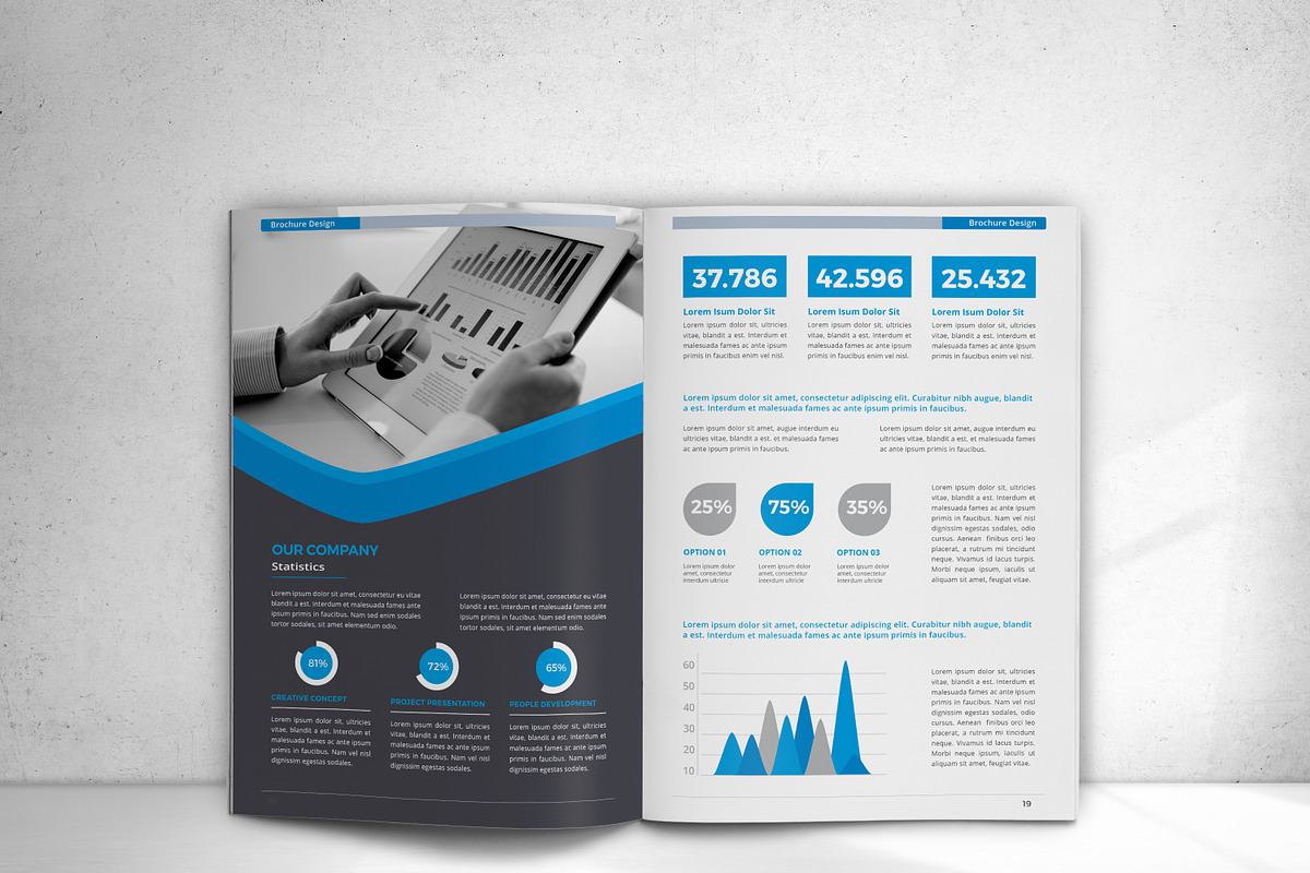 Company Profile, a Brochure Template by design_pick (Photo 11 of 17)