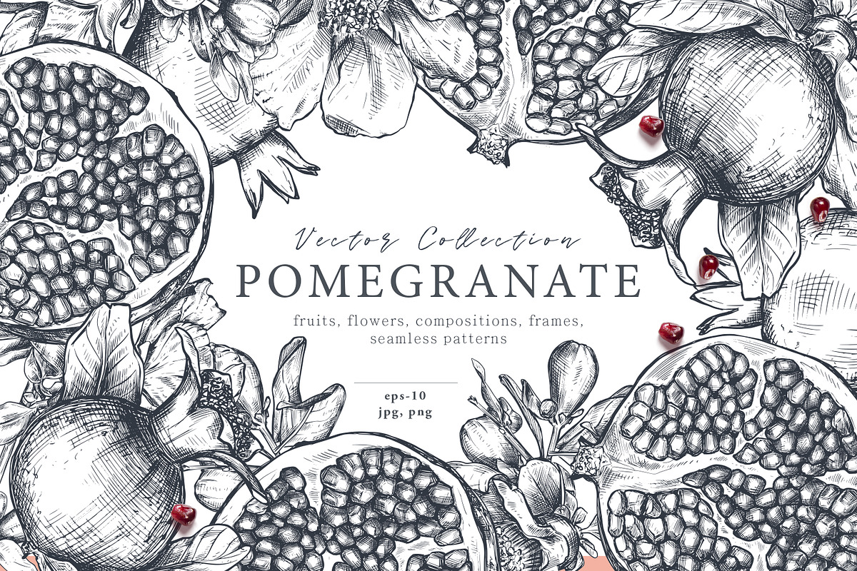 Pomegranate Fruit Vector Set, a Food Illustration by Molly art (Photo 1 of 8)