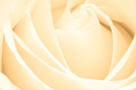 Ageless Beauty preview 6